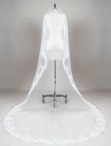 Cathedral Wedding Veil White Oval Lace Applique Edge One Tier Tulle Bridal Veil