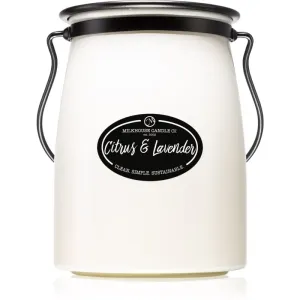 Milkhouse Candle Co. Creamery Citrus & Lavender scented candle Butter Jar 624 g #243199