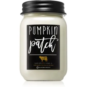Milkhouse Candle Co. Farmhouse Pumpkin Patch scented candle I. 369 g