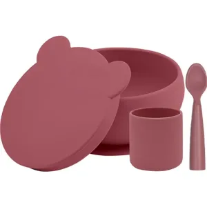 Minikoioi BLW I Velvet Rose dinnerware set