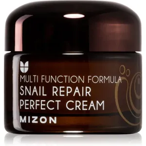 Mizon Multi Function Formula Snail face cream with snail secretion filtrate 60% 50 ml #220198