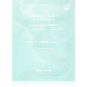 Mizon Cicaluronic™ Moisturising face sheet mask for Dry and Sensitive Skin 24 g