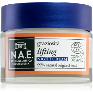 N.A.E. Graziosita moisturising anti-wrinkle night cream with a brightening effect 50 ml