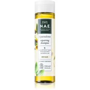 N.A.E. Riparazione Regenerating Shampoo For Dry Hair 250 ml #256841
