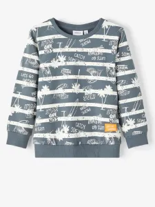 name it Frank Kids Sweatshirt Grey #1408001