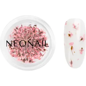 NEONAIL Dried Flowers dried blossom for nails shade Pink 1 pc