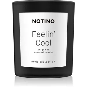 Notino Home Collection Feelin' Cool (Bergamot Scented Candle) scented candle 220 g