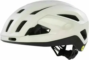 Oakley ARO3 Endurance Europe Matte Light Gray L Bike Helmet