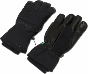 Oakley B1B Glove Blackout 2XL Ski Gloves