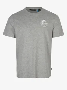 O'Neill Circle Surfer T-shirt Grey