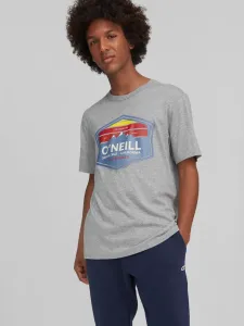 O'Neill Mtn Horizon T-shirt Grey