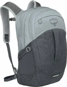 Osprey Comet Silver Lining/Tunnel Vision 30 L Lifestyle Backpack / Bag