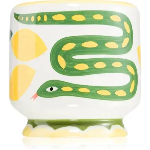 Paddywax A Dopo Snake scented candle 226 g