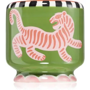 Paddywax A Dopo Tiger scented candle 226 g