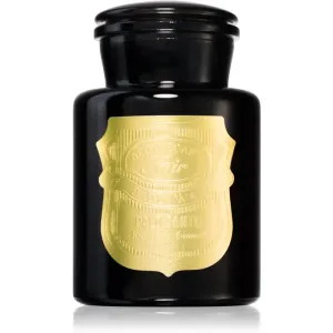 Paddywax Apothecary Noir Palo Santo scented candle 226 g