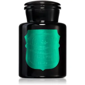 Paddywax Apothecary Noir Tabac & Pine scented candle 226 g