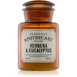 Paddywax Apothecary Verbena & Eucalyptus scented candle 226 g #237905