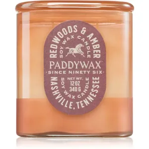 Paddywax Vista Redwoods & Amber scented candle 340 g #1856403