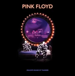 Pink Floyd - Delicate Sound Of Thunder (Remixed) (2 CD)