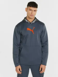 Puma Sweatshirt Grey #1331640
