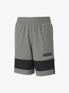 Puma Alpha Kids shorts Grey