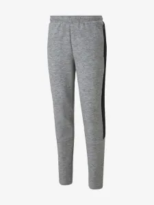 Puma Sweatpants Grey #64798