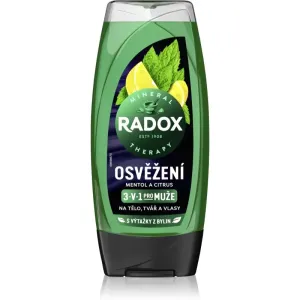 Radox Men Feel Strong 2-in-1 shower gel and shampoo Mint & Tea Tree 225 ml #1909187
