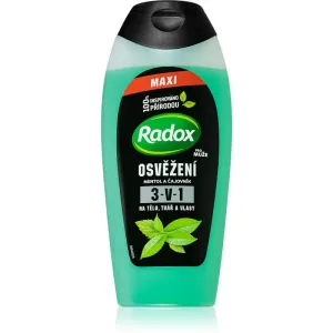 Radox Refreshment refreshing shower gel for men 400 ml