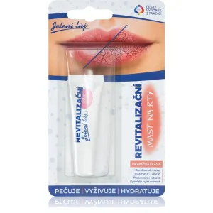 Regina Revitalizační mast na rty Deer Tallow Lip Balm For Dry And Chapped Skin 10 ml #234152