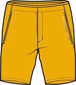 Rock Experience Powell 2.0 Shorts Man Pant Old Gold L Outdoor Shorts
