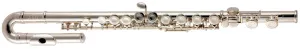 Roy Benson FL-402E2 Concert flute