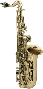 Roy Benson AS-201 Alto saxophone