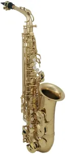 Roy Benson AS-202 Alto saxophone