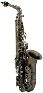 Roy Benson AS-202A Alto saxophone