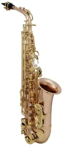 Roy Benson AS-202G Alto saxophone