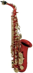 Roy Benson AS-202R Alto saxophone
