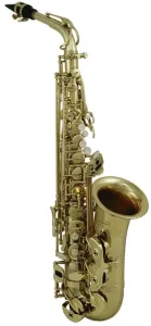 Roy Benson AS-302 Alto saxophone