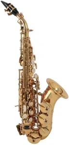 Roy Benson SG-302 Soprano saxophone