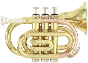 Roy Benson PT-101 Bb Trumpet