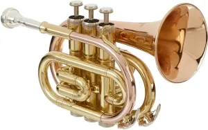 Roy Benson PT-101G Bb Trumpet