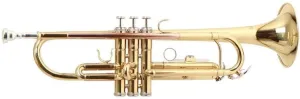 Roy Benson TR-101 Bb Trumpet