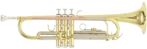 Roy Benson TR-202 Bb Trumpet