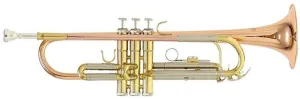 Roy Benson TR-202G Bb Trumpet