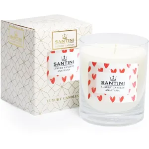 SANTINI Cosmetic Anastasia scented candle 200 g
