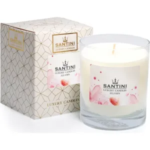 SANTINI Cosmetic Julvien scented candle 200 g #244619