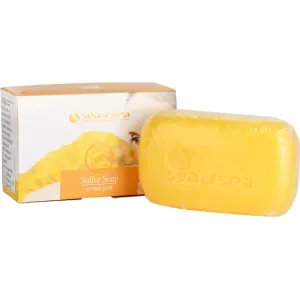 Sea of Spa Essential Dead Sea Treatment bar soap with sulphur 125 g #214099