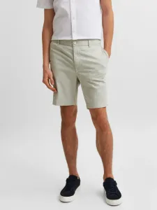 SELECTED Homme Isac Short pants Green #251124