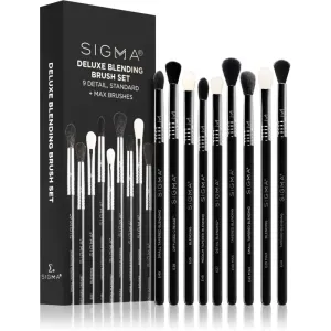 Sigma Beauty Brush Set Deluxe Blending brush set (for the eye area)