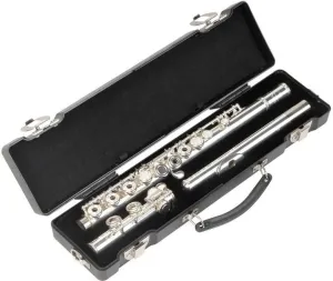 SKB Cases 1SKB-312 Protective cover for flute