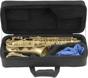 SKB Cases 1SKB-SC340 Alto Protective cover for saxophone